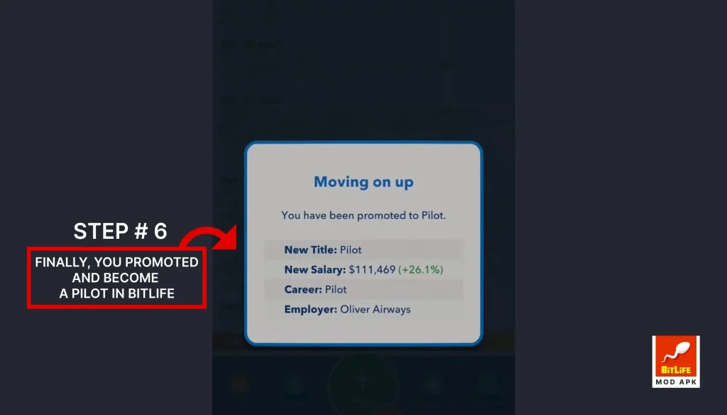 Pilot in Bitlife